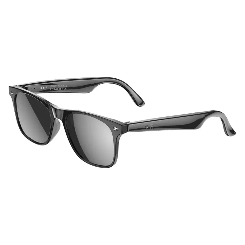 AI Glasses W100