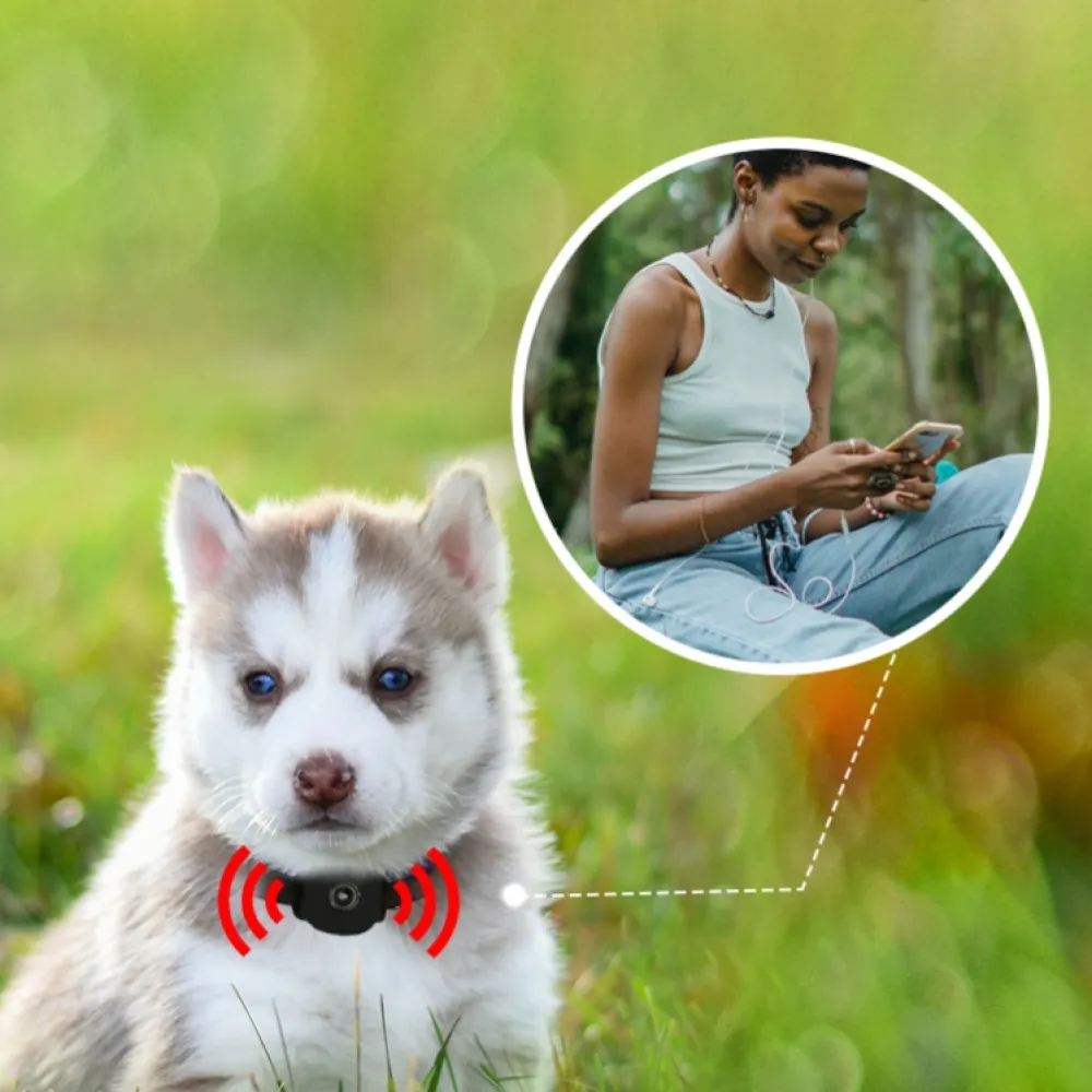 Q68 4G GPS  για κατοικίδια