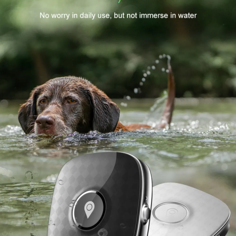 Q68 4G GPS  για κατοικίδια