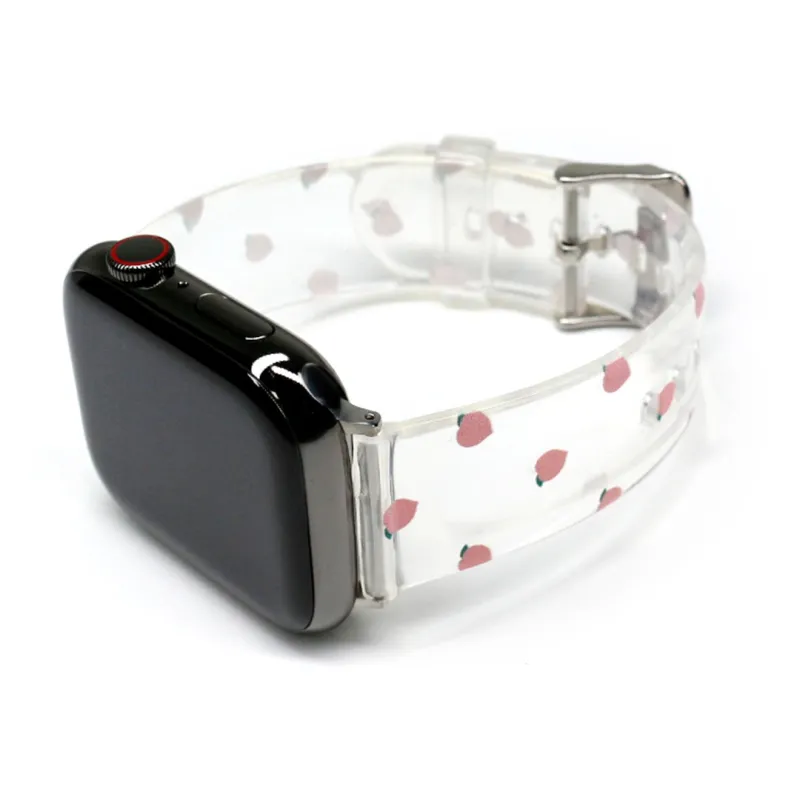 SILICON LOUIS transparent 38/42mm
