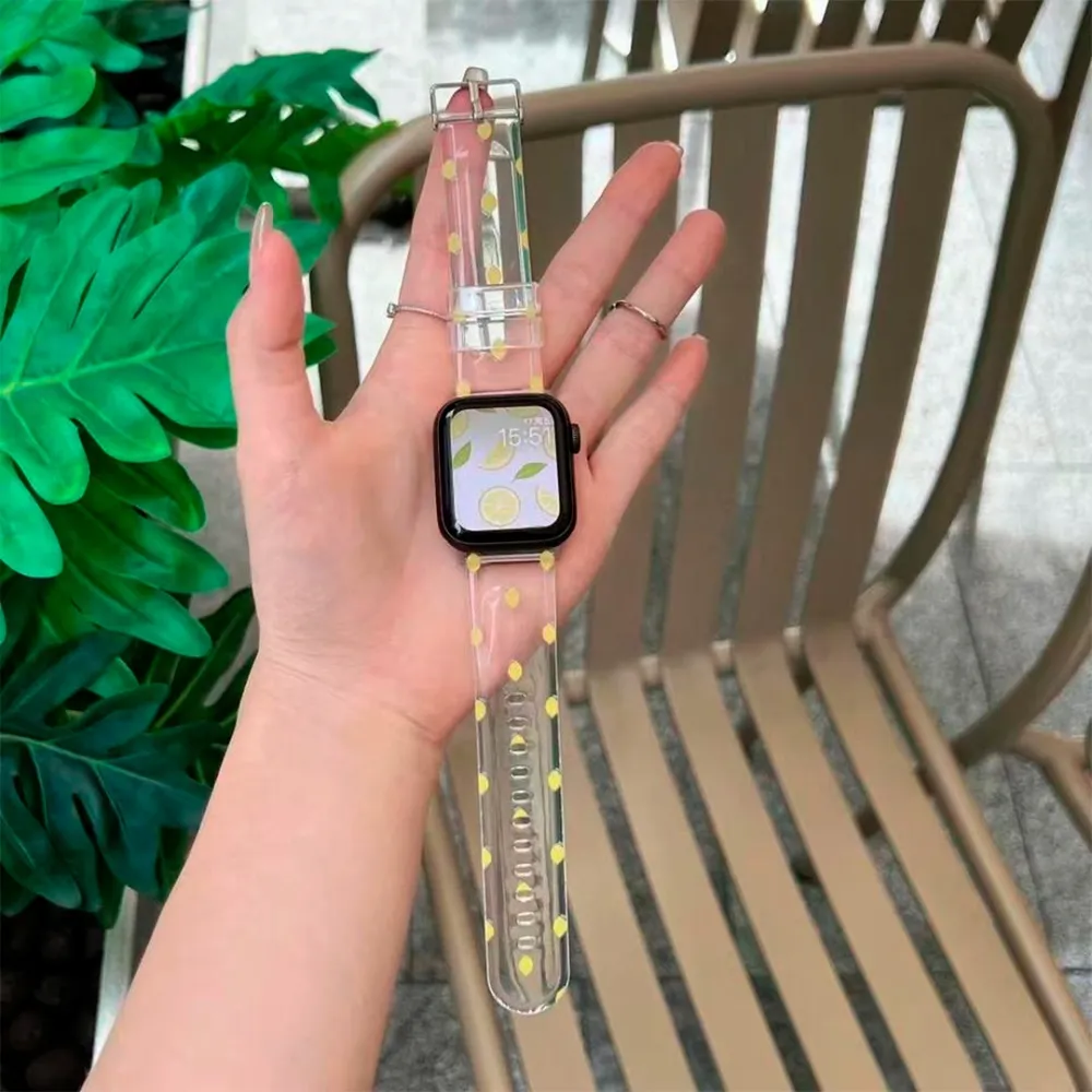 SILICON LOUIS transparent 38/42mm