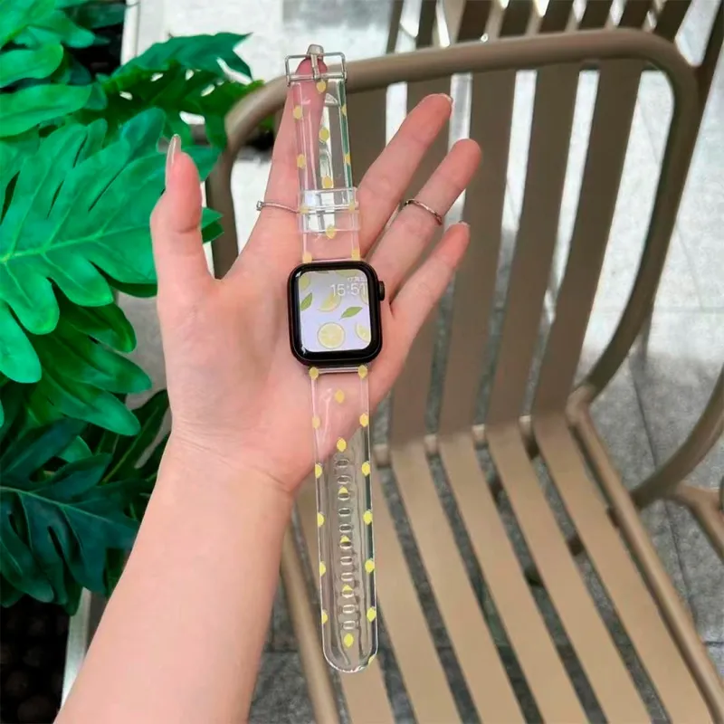 SILICON LOUIS transparent 38/42mm